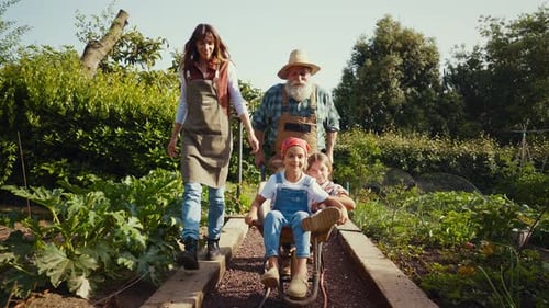 Grandfather Pushing Grandchildren in Wheelbarrow Through Lush Garden