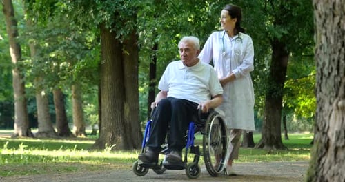 Doctor, nurse, care for the elderly, girl (woman) and grandfather sitting in a wheelchair, walking