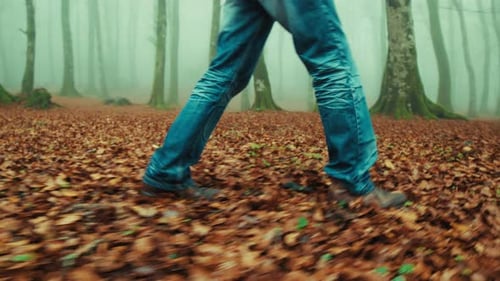 Legs of an Old Man Walking on a Carpet of Dry Autumn Leaves In Foggy Mountain