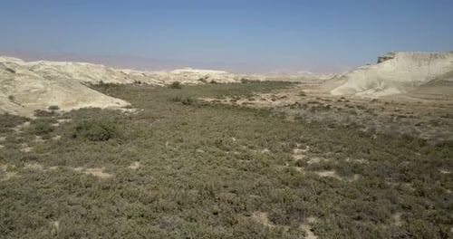 Desert flight, Israel