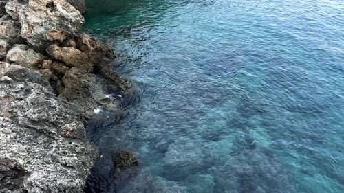 Rocky Coast