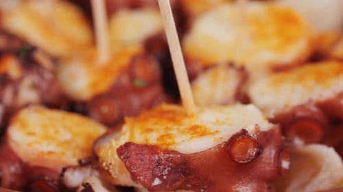 Octopus Cooking Chef Grill Fresh Octopus Galician Style on Restaurant Kitchen Healthy Food Seafood