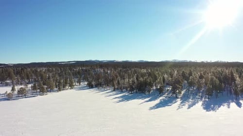 Approaching arctic norwegian wilderness pine forest above frozen snow covered lake during beautiful
