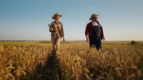 Investments in Agribusiness Female Farmer and Businessman in Golden Rye Field Modern Technology and
