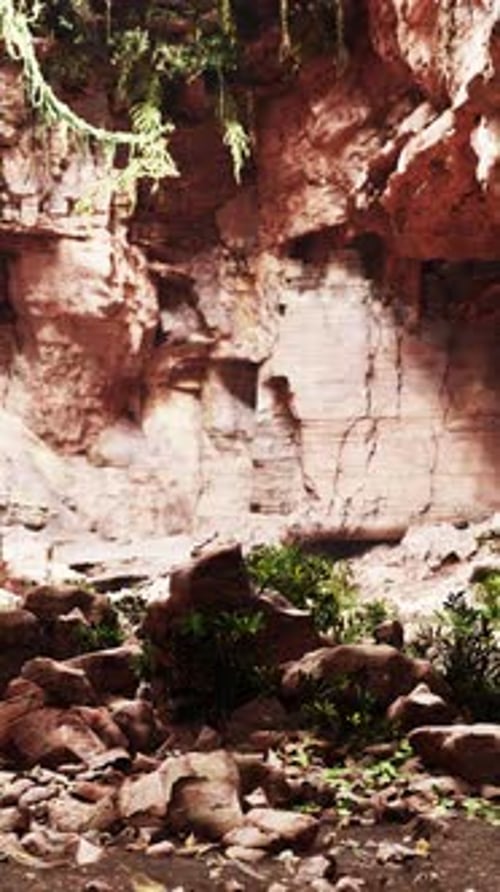 Rocky Area With Rocks and Plants