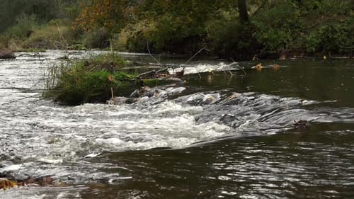 Der Fluss ist mit Starkregen überflutet