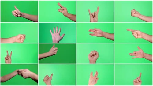 Video Collage Human Hand Shows Different Gestures on Chromakey Background