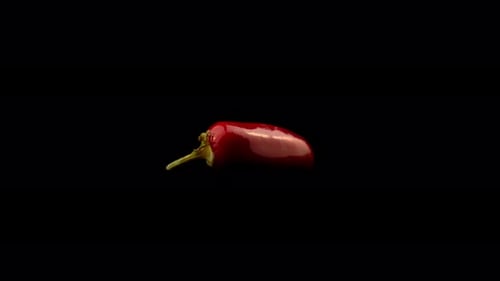 Close Up of a Single Red Chili Pepper