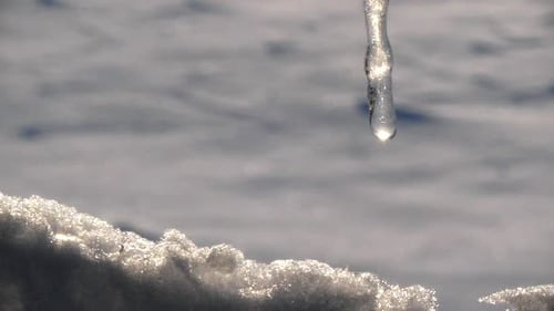 Close shot of icicle melting on snowy bokeh background, Winter silence relaxation and meditation con