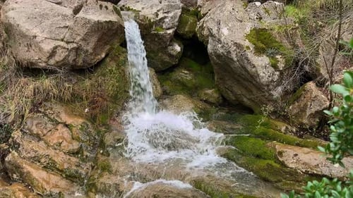 A Waterfall in the Forest Clear Water Falls Into a Picturesque Natural Stone Bowl