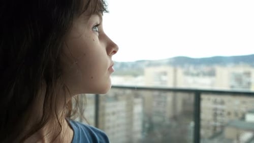 The Child Looks Out the Window