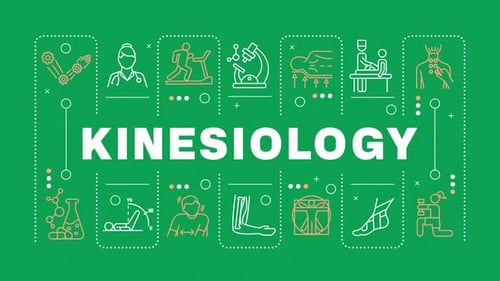 Minimalist Animated Kinesiology Icons for Health and Fitness