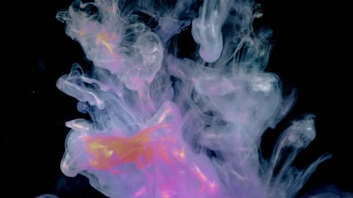 Colorful Paint Plumes Swirling Against Black Background