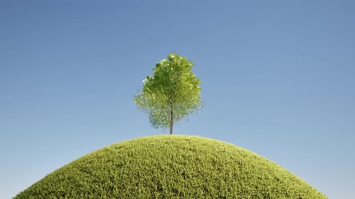Bäume wachsen, Grün, Gras, Landschaft, Natur