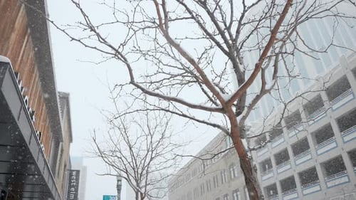 Blick in den Stadthimmel, während überall Schneeflocken fallen.