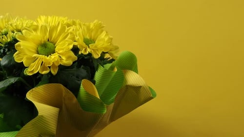 Bright Yellow Daisies in Colorful Wrapping Paper