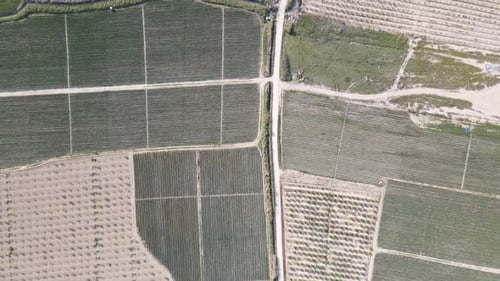 Landwirtschaftlich