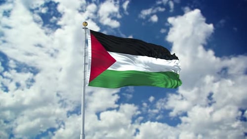 Palestine Realistic Waving 4k