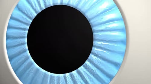 3D Medical Animation of Human Eyeball Anatomy