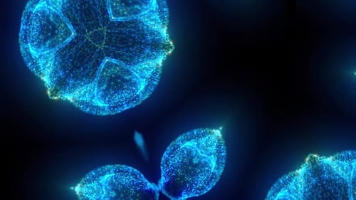 Kaleidoscope Looped Particles VJ loop