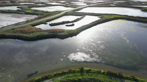 Bright Sun Reflecting in the Water of the Salt Marshes Guerande France