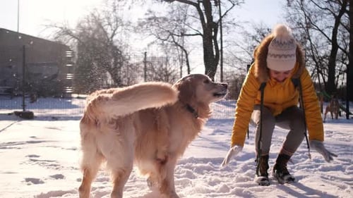 Woman Plays with Golden Retriever Dog in Snowy Park