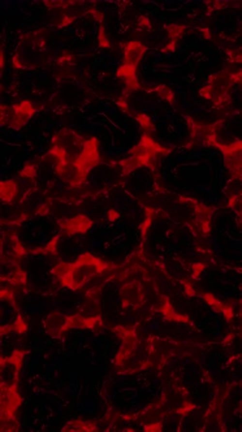 Plasma Surface 05