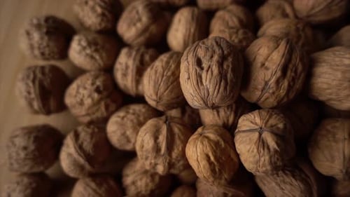 Walnuts. Camera slowly moves up to show close-up of beautiful walnuts