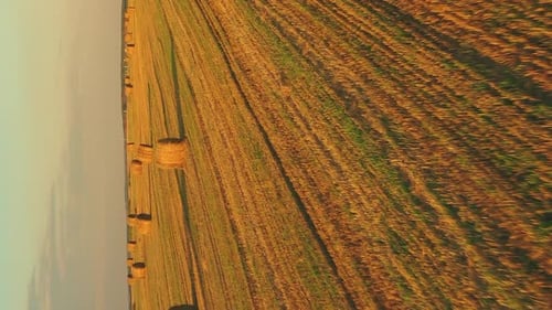Aerial View Of Summer Hay