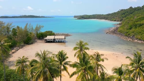 Aerial of Tropical Beach Landscape with Palm Trees and Turquoise Sea Thailand