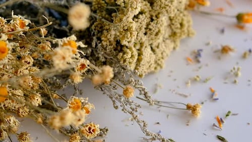 Close Up of Dried Flowers on White Surface