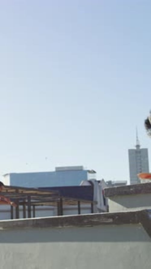 Man, skateboard and jump on ramp with friends, tricks or balance with riding at urban park in town