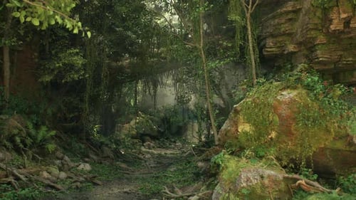 Dirt Road Surrounded By Trees and Rocks