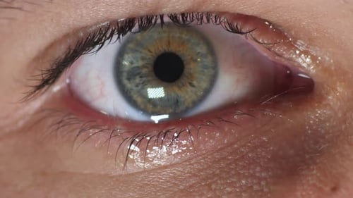 Extreme Close Up of a Sad Hazel / Green / Blue Eyeball Looking Directly to Camera Crying Tears and B