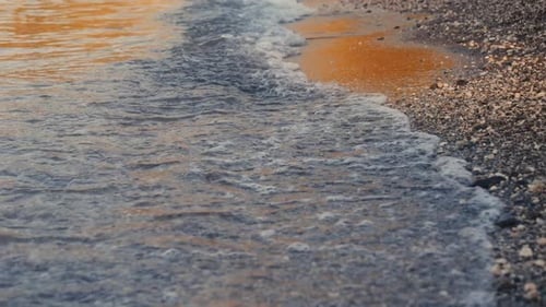 Beach in Summer