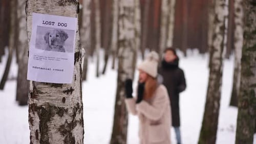 Missing Pet Placard on Tree with Blurred Teen Girl and Boy at Background Looking for Dog in Winter