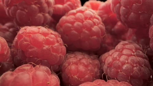 Close Up of Ripe Raspberries in a Bowl
