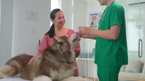 Veterinarian Giving Treat to Large Dog
