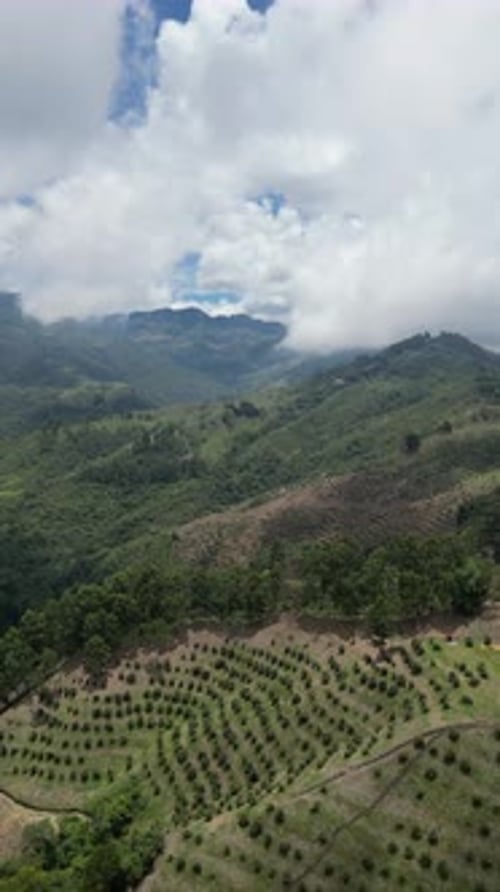 Aerial video over Salento towards a lush forested valley in the mountains of Colombia, Colombia