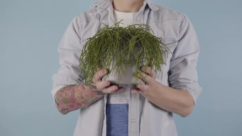 Man Holding Houseplant in Font of Camera in His Hands Studio Background Isolated