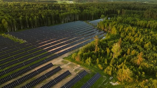 Aerial View of a Solar Panel Farm in a Forest Showcases the Synergy Between Nature and Renewable