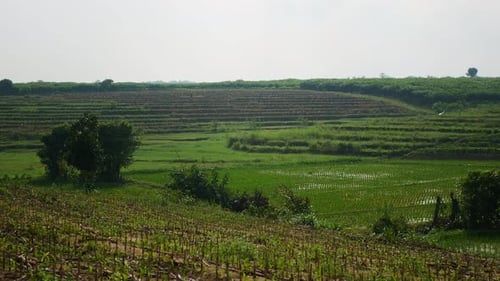 agricultural footage
