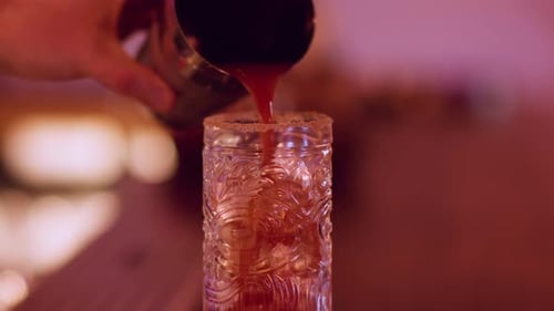 Preparación de bebidas alcohólicas, aperitivo frío, barkeeper