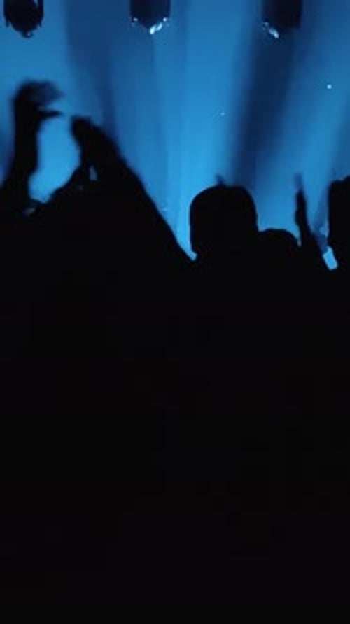 Excited Crowd Silhouettes at Live Music Concert