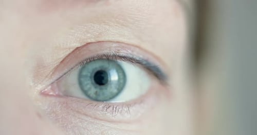 Close Up Macro Shallow Depth of Field Shot of Human Female Eye