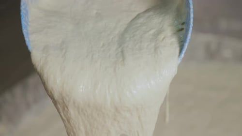 The process of preparing sourdough on yeast for further use in baking bread at a bread factory.