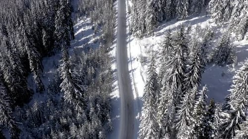 Aerial Drone View of Winter Country Road Buried Under Snow. Pine Tree Forest Road in the Mountains