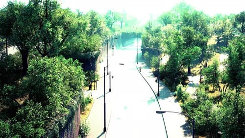 Empty Asphalt Road in City with Trees