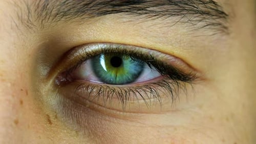 Extreme Close Up of a Human Eye Blinking