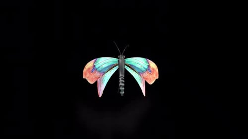 Flying Fluttering Butterfly